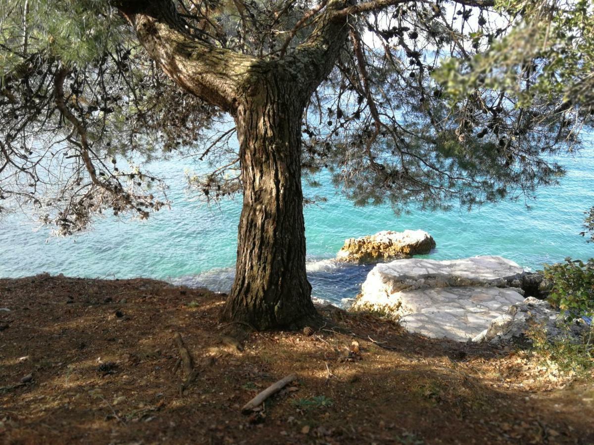 App Roko Apartment Porec Luaran gambar